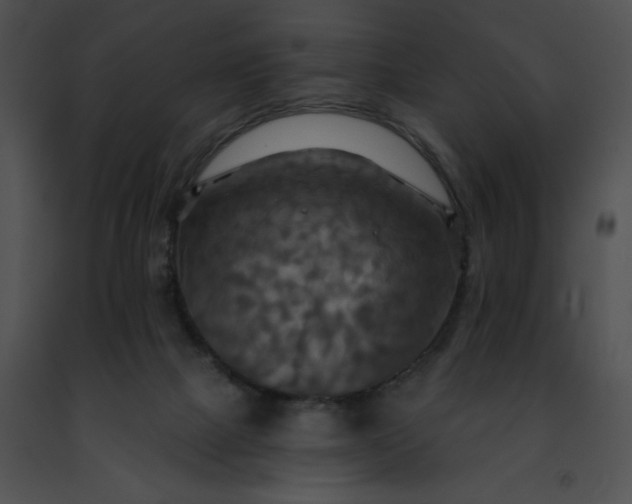 X0000091460073200708301841