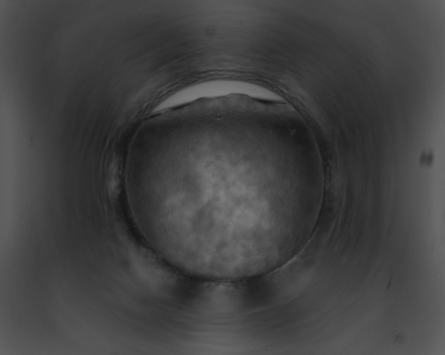 X0000091460074200708301841