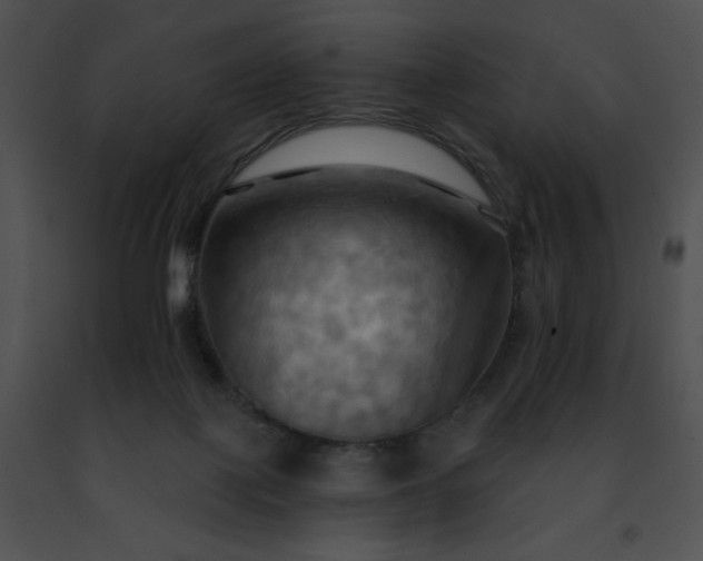 X0000091460075200708301841