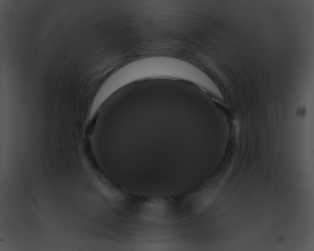 X0000091460076200708301841