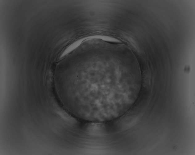 X0000091460077200708301841