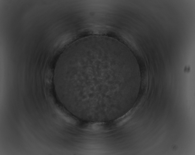 X0000091460078200708301841