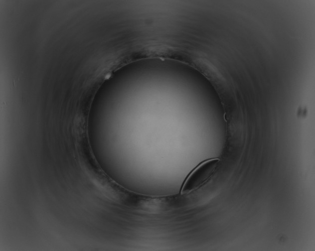 X0000091460079200708301841