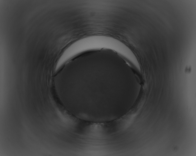 X0000091460080200708301841