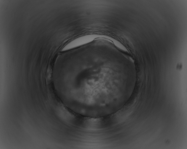 X0000091460081200708301841