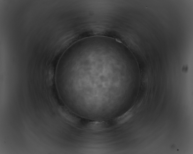 X0000091460082200708301841