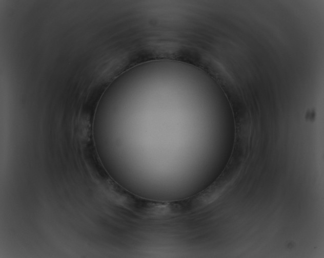 X0000091460083200708301841