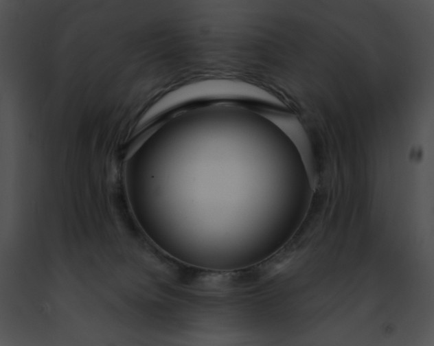 X0000091460084200708301841