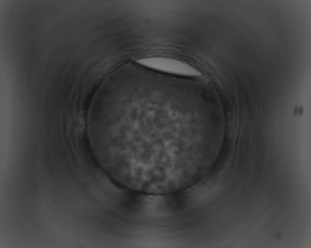 X0000091460085200708301841