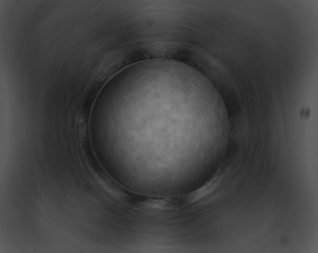 X0000091460086200708301841