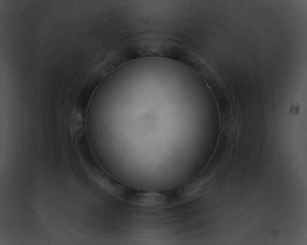 X0000091460087200708301841