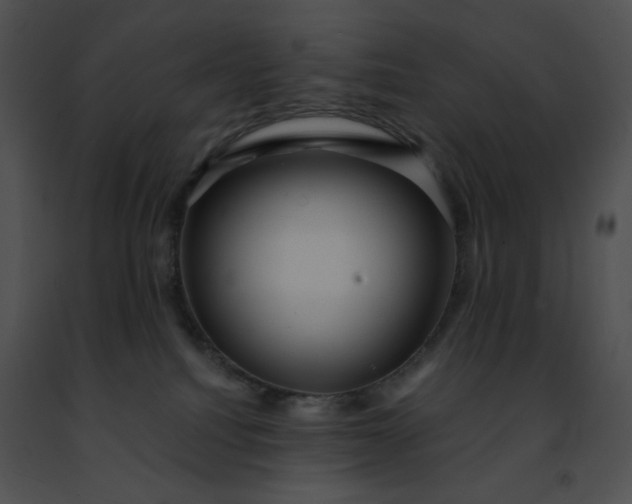 X0000091460088200708301841