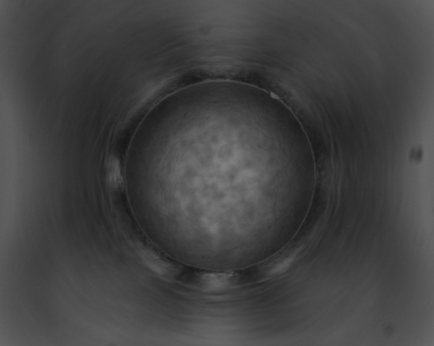 X0000091460089200708301841