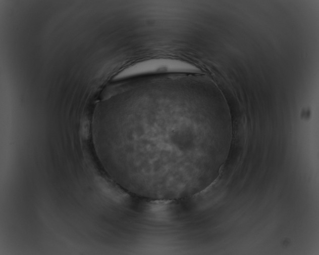 X0000091460090200708301841