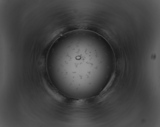 X0000091460092200708301841