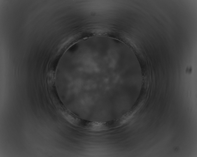 X0000091460093200708301841