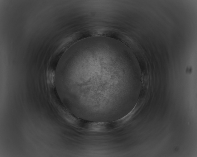 X0000091460094200708301841