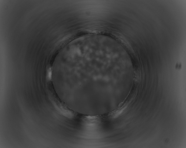 X0000091460095200708301841