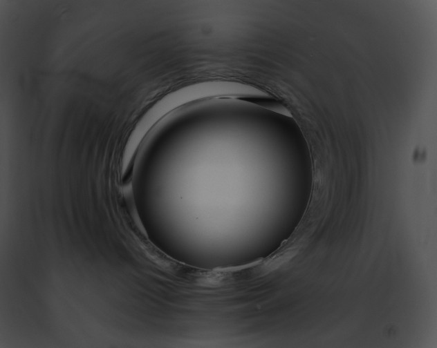 X0000091460096200708301841