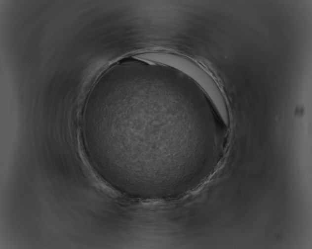 X0000091460097200708301840