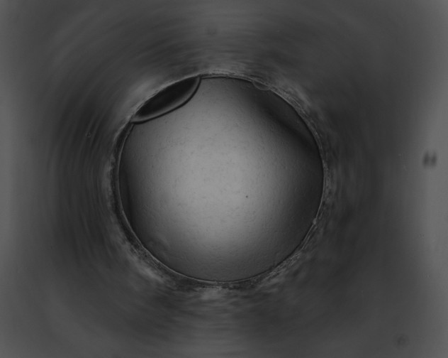 X0000091460098200708301840