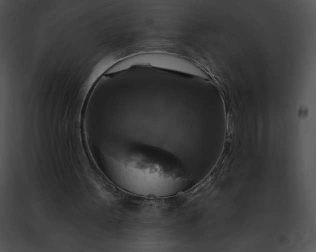 X0000091460099200708301840