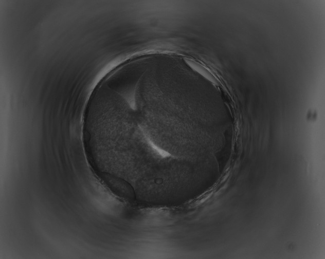 X0000091460100200708301840