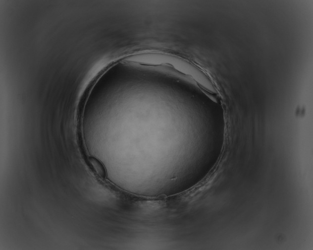 X0000091460102200708301840