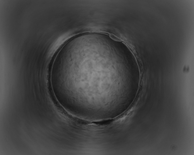 X0000091460103200708301840