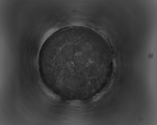 X0000091460104200708301840