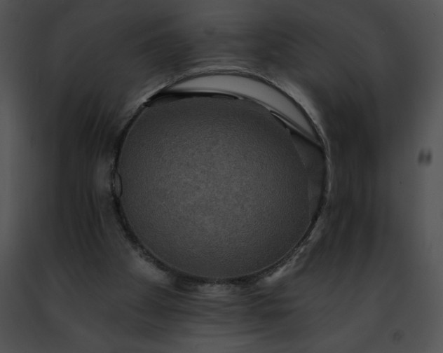 X0000091460105200708301840