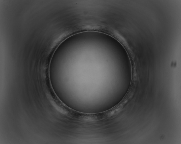 X0000091460106200708301840