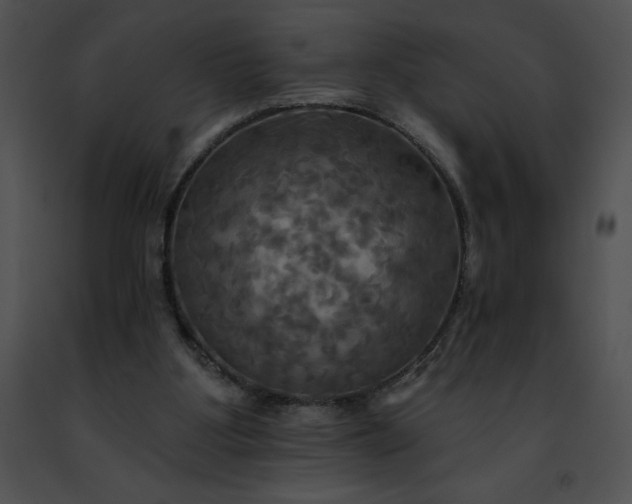 X0000091460107200708301840