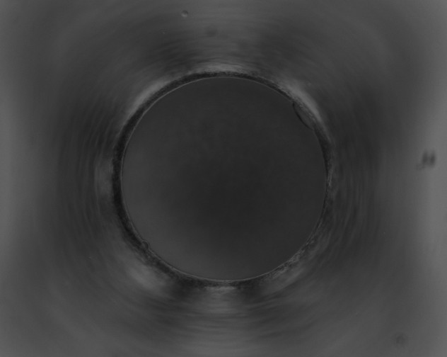 X0000091460108200708301840