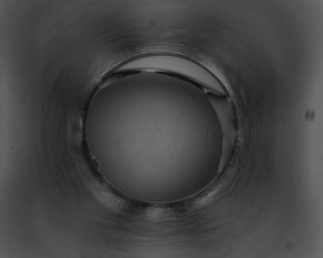 X0000091460109200708301840