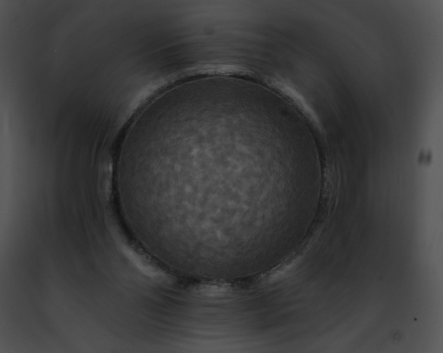 X0000091460110200708301840