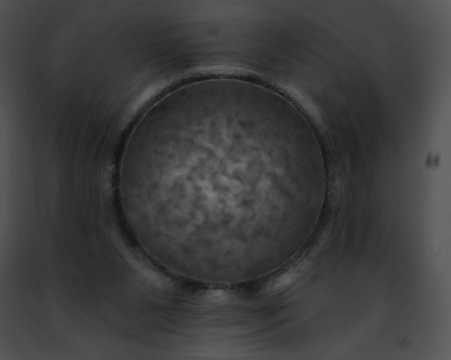 X0000091460111200708301840