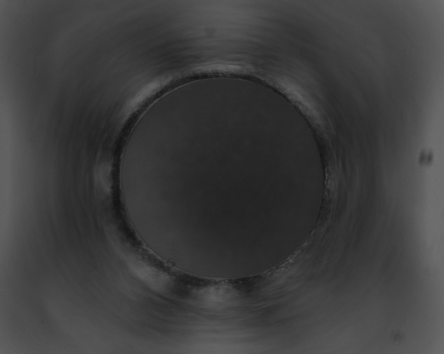 X0000091460112200708301840