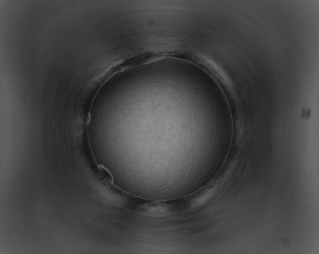 X0000091460113200708301840