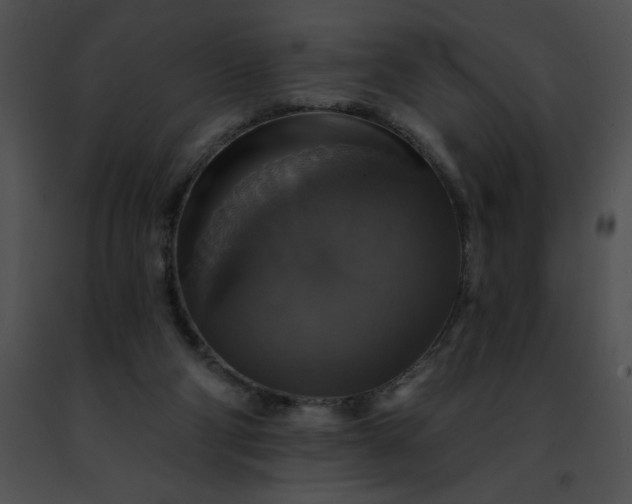 X0000091460114200708301840