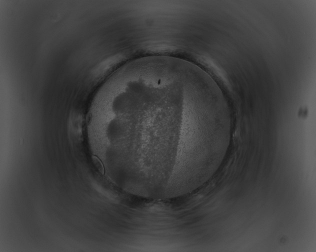 X0000091460115200708301840