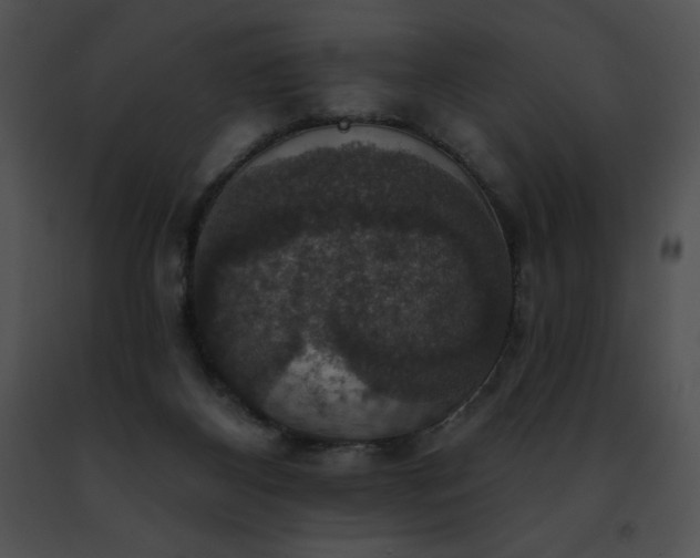 X0000091460116200708301840