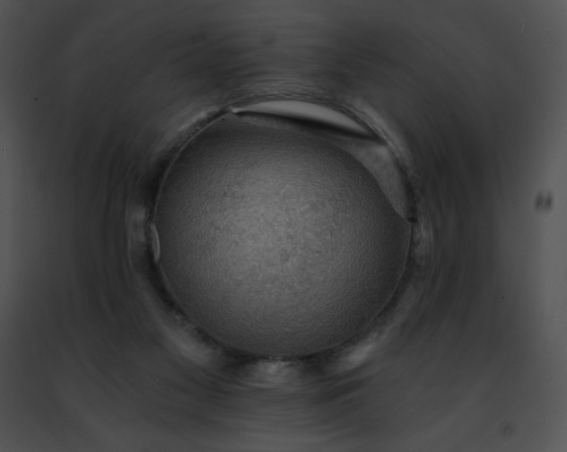 X0000091460117200708301840