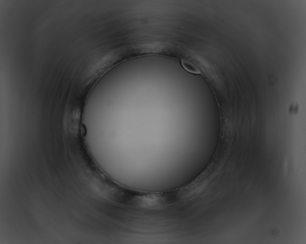 X0000091460118200708301840