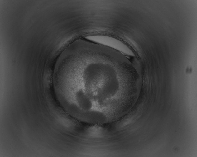 X0000091460119200708301840