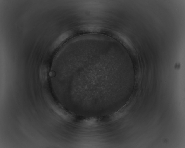 X0000091460120200708301840