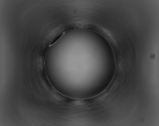 X0000091460121200708301840