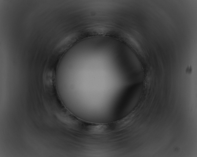 X0000091460122200708301840