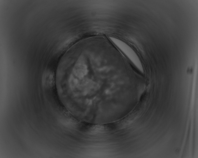 X0000091460123200708301840