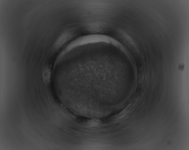 X0000091460124200708301840